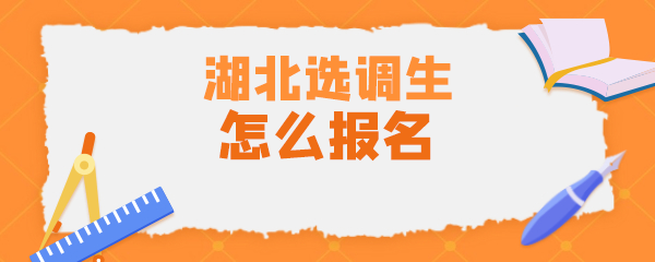 选调生怎么报名.png