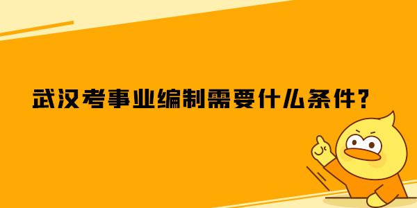 武汉考事业编制需要什么条件