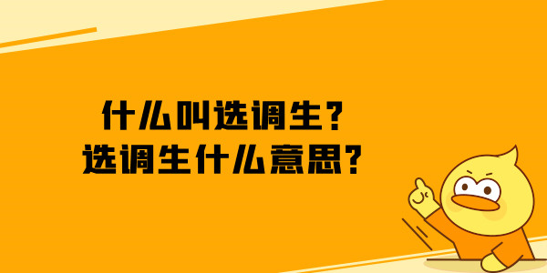 什么叫选调生选调生什么意思