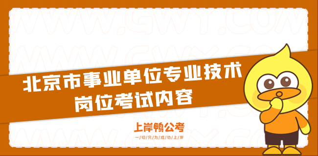 北京市事业单位专业技术岗位考试内容