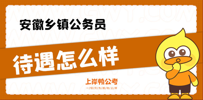 安徽乡镇公务员待遇怎么样.