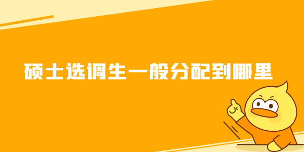 硕士选调生一般分配到哪里