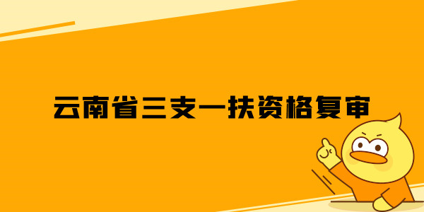 云南省三支一扶资格复审